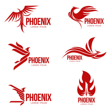 Set of stylized graphic phoenix bird logo templates, vector illustration isolated on white background. Collection of creative phoenix bird logotype templates, growth, development, power concept