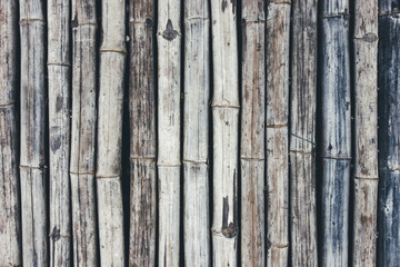 Dry bamboo sticks wall texture.