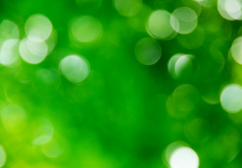 Fototapeta premium Natural blurred background.