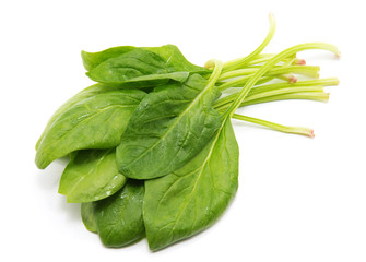 Spinach on a white background
