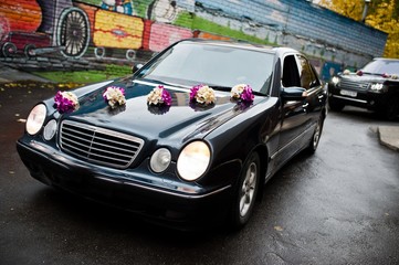 Plakat Elegant wedding procession of cars