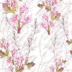 Tuberose - branches. Seamless pattern. medicinal, perfumery and cosmetic plants. Wallpaper. Use printed materials, signs, posters, postcards, packaging. 