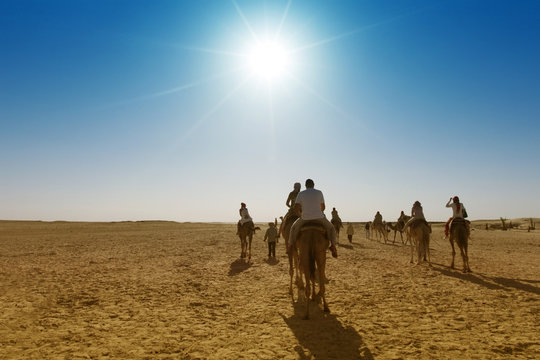 Sahara desert. Caravan of tourists passing desert lake on camels