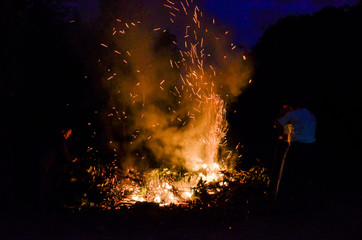 Open flames burning dead branches and weeds - obrazy, fototapety, plakaty