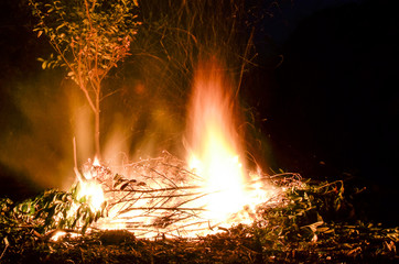 Open flames burning dead branches and weeds - obrazy, fototapety, plakaty