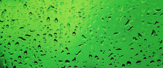Rainy wet green eco seasonal summer natural blurred background with water drops
