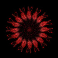 Red floral powder isolated on black background