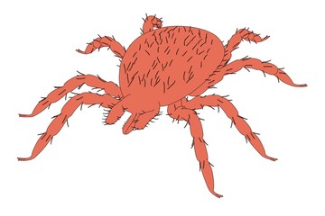 2d cartoon illustration of tick