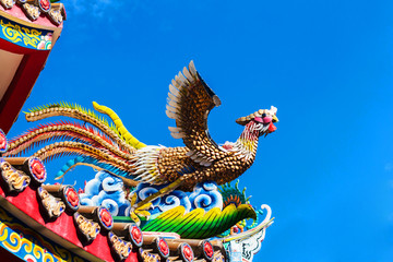 ceramic fire bird on the roof of chinese shrine with blue sky background.