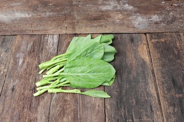 Chinese kale fresh vegetable on wooden table background