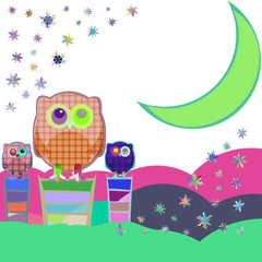 Owl and moon, nocturnal sky