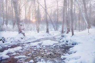 winter landscape with water
 