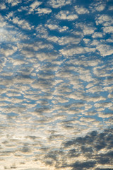 Evening sky with lots small clouds - natural background..