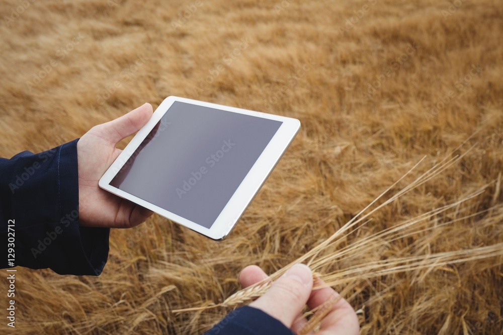 Poster Farmer using digital tablet while checking ears of wheat