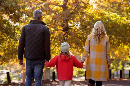 Rear View Of Family By Trees At Park