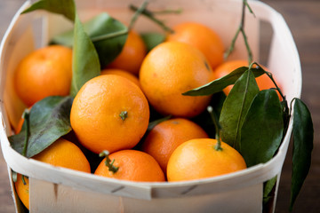 natural orange with leaves