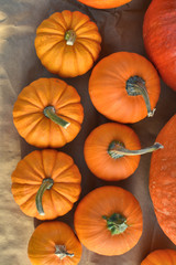 Autumn pumpkins