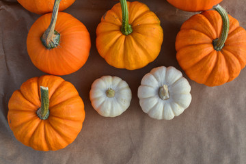 Autumn pumpkis decoration
