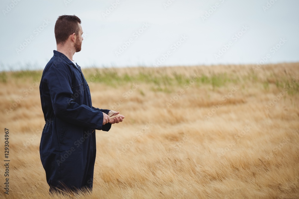 Poster farmer standing in field and looking view