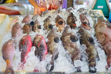 Seafood. Close up of raw fish on the market.