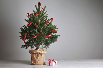 Tabletop green and fresh Christmas tree with ribbon decoration and a small present in a white box with a red bow on light gray background