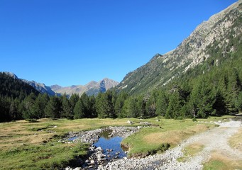 Pyrenees valley with stream