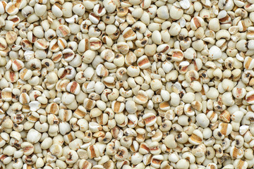 Pepared Job tear for cookind and background