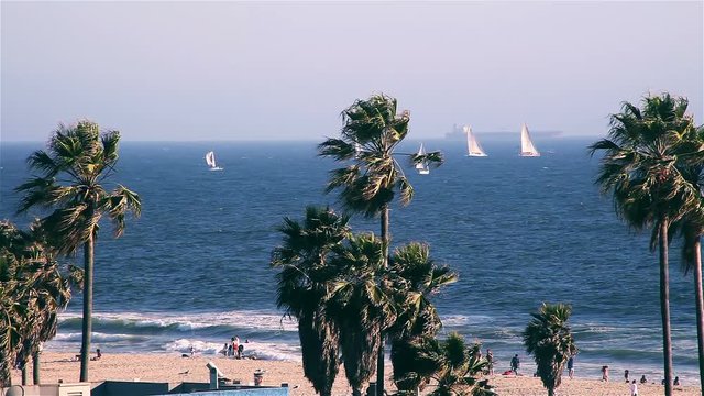 Venice Beach Los Angeles California