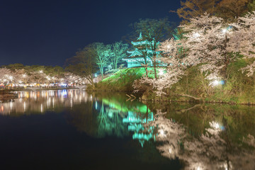 高田公園と桜
