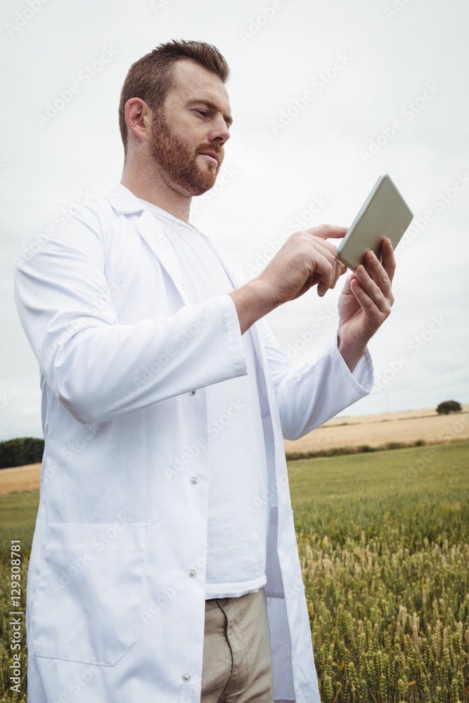 Poster Agronomist using digital tablet in the field