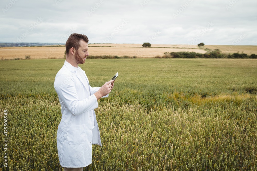 Poster agronomist using digital tablet in the field