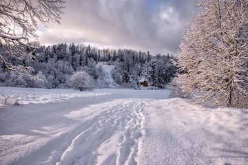 Beautiful winter landscape in Latvia.