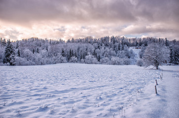 Beautiful winter landscape in park.