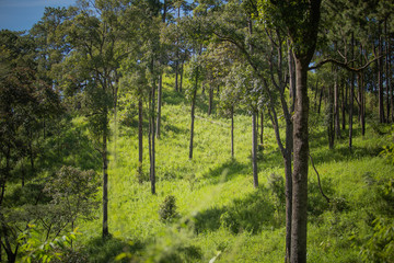 Obraz premium mountains