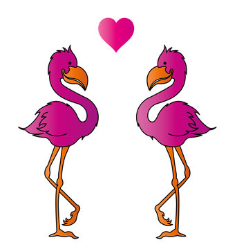 Flamingos in Love