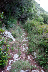 Obraz premium Corfu Trail, Greece