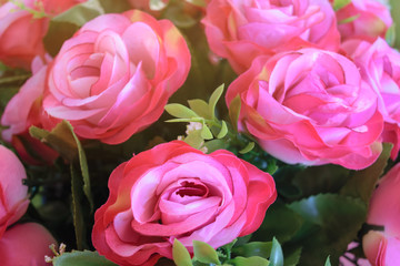 a pink rose bouquet with sun rays in a special day. valentine or wedding day.