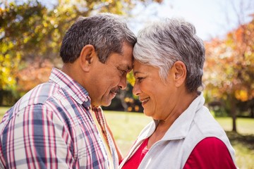 Obraz premium An elderlry couple embracing and romancing at park