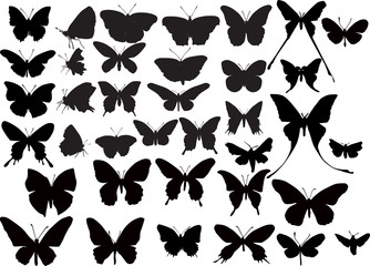 thirty seven black butterflies silhouettes