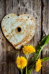 Keyhole - rusty heart and dandelions on old wood. Vertical shot.
