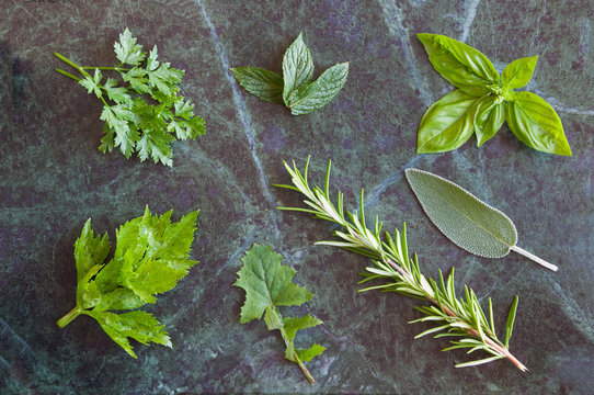 Various herbs for cooking (rosemary, basil, parsley, rucola, mint)