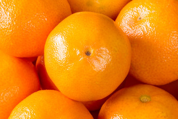 Ripe orange clementines, tangerines or mandarins