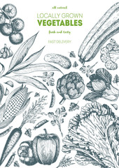 Vegetables top view frame. Organic food poster. Vector illustration. Linear graphic.