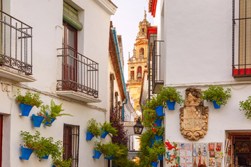 Flowers in flowerpot on the white walls on famous Flower street Calleja de las Flores in old Jewish...