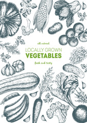 Vegetables top view frame. Organic food poster. Vector illustration. Linear graphic.