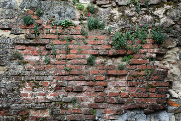 background old dilapidated brick wall overgrown with grass