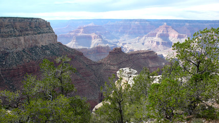 grand canyon mit b&auml;umen