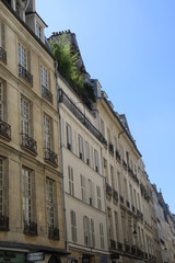 Paris - Août 2016