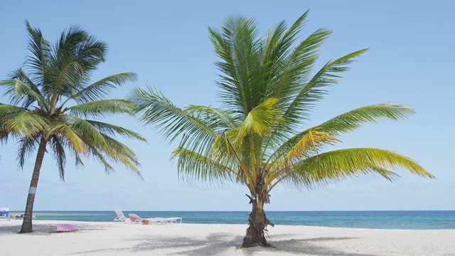 Beach with palm trees on against clear blue sky. Idyllic view of nature travel vacation holiday tourist destination beach on Barbados, Caribbean. RED EPIC SLOW MOTION.