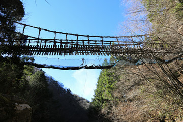 徳島県　奥祖谷二重かずら橋　架け替え工事中の男橋